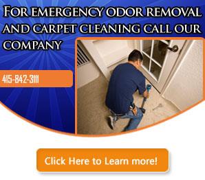 Mold Removal - Carpet Cleaning Mill Valley, CA